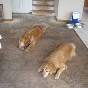 Meet your Posher, Geoffrey